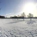 Le D'hayen * Спримон