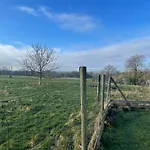 Le D'hayen * Спримон