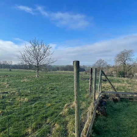 Le D'hayen * 斯普里蒙