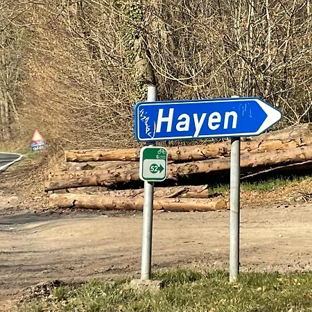 Le D'hayen 斯普里蒙